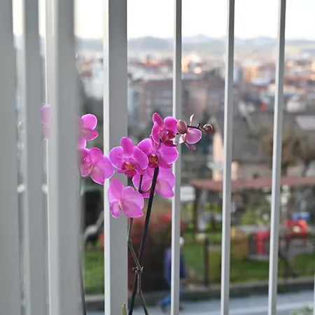 La Finestra Blu 1 * Alba